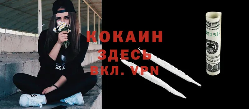 COCAIN Эквадор  Исилькуль 